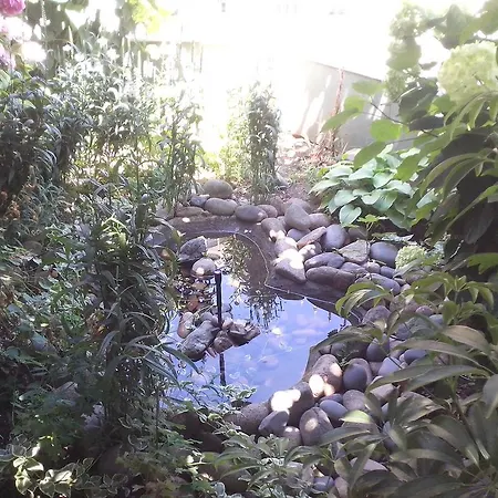 بيت ضيافة Krasi 3*